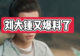 爆料娱乐圈刘大锤,揭秘明星背后的惊人真相