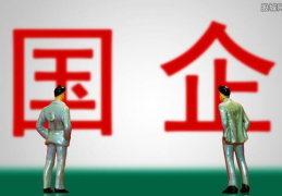 怎么查公司是不是国企,如何快速识别企业是否为国有企业