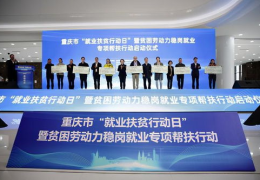 重庆市劳动局,重庆市劳动局最新政策解读与劳动权益保障概览